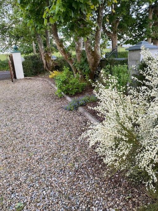 Breathnach Cottage Annex Knockleagha Ballina F26 D7E2 Extérieur photo