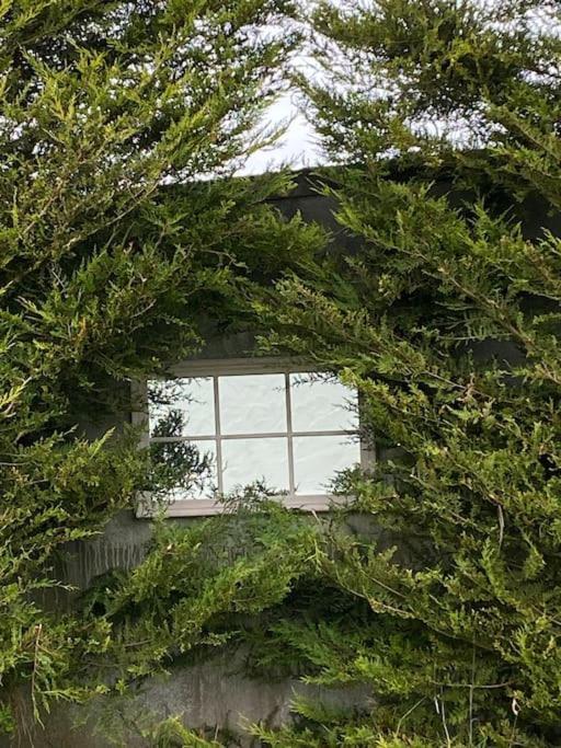Breathnach Cottage Annex Knockleagha Ballina F26 D7E2 Extérieur photo